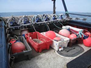 Baited remote underwater video